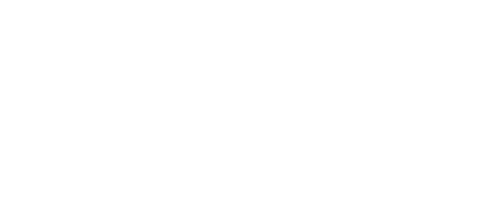 Forge Skin