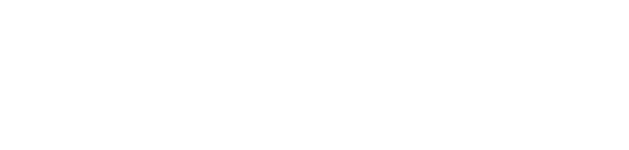 FlyHugz